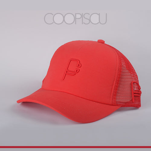 Coopiscu logo 2 cap