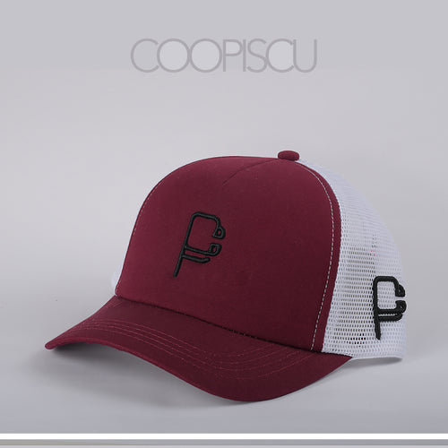 Coopiscu logo 3 cap